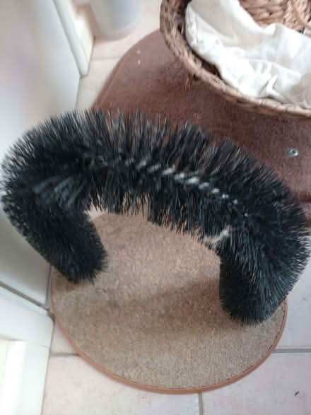 Photo of free Cat archway toy (Lychpit RG24) #1