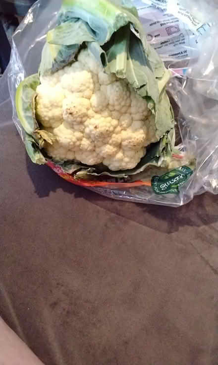 Photo of free Cauliflower (Spondon derby) #1