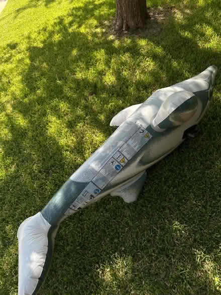 Photo of free Pool floats (Far north Plano (Coit & 121)) #2