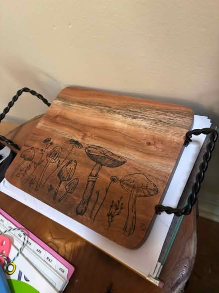 Photo of free Mushroom tray (Near Chelmsford Center) #1
