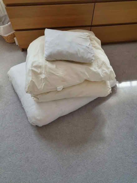 Photo of free Cushions/pillows for re-covering (Birds Marsh View, SN15) #1