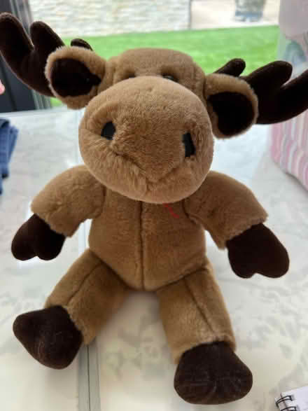 Photo of free Reindeer cuddly toy (or moose!) (Westbrook WA5) #1