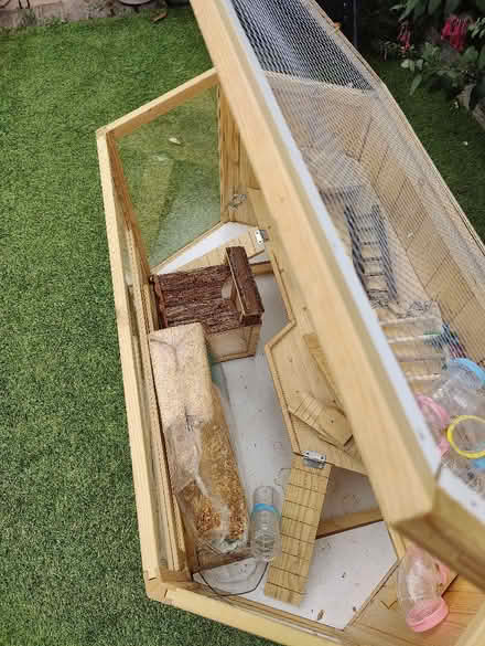Photo of free Hamster. / Guinee pig cage (Hoddesdon EN11) #3