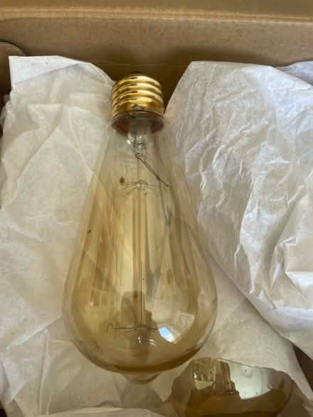 Photo of free Large screw in festoon bulbs (Horningsea CB25) #1