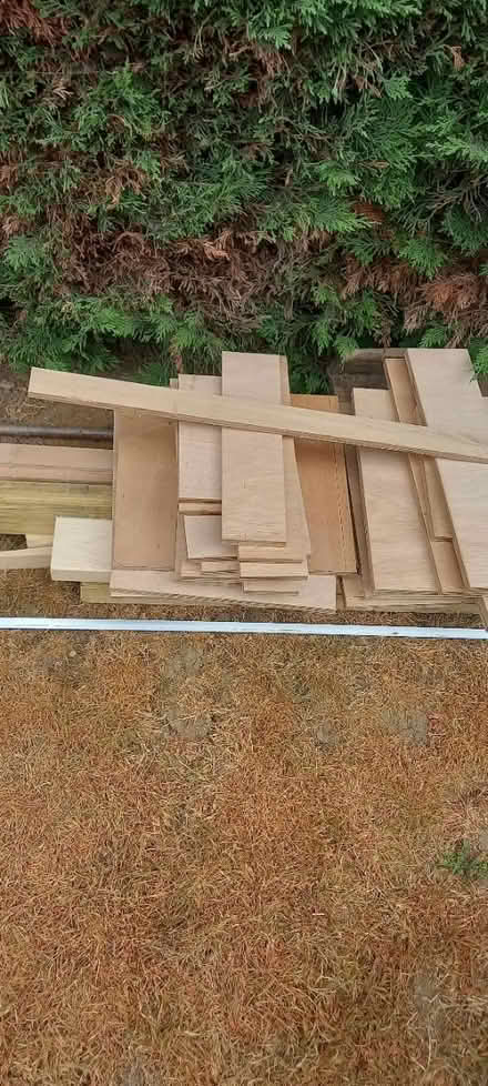 Photo of free Surpless wood (Kettering) #1