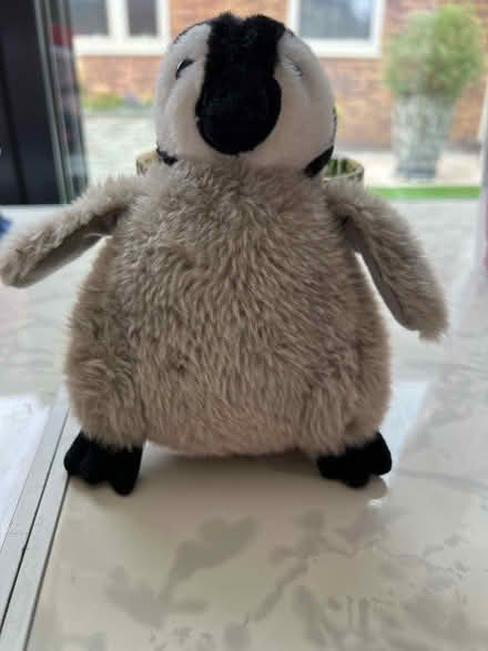 Photo of free Baby penguin cuddly toy (Westbrook WA5) #1
