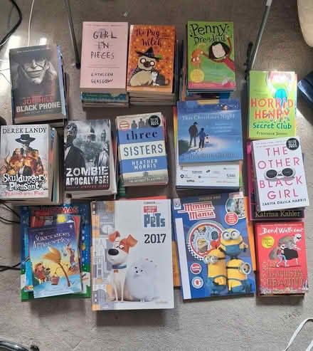 Photo of free Lots of Books (BD8) #1