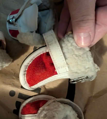 Photo of free Doggie boots size M (Northridge) #3