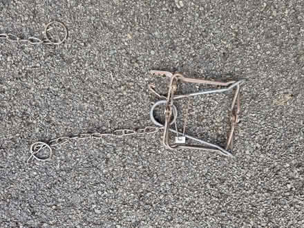 Photo of free Rat traps (hucknall ng15) #2