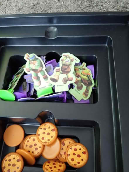 Photo of free Turtles game (Saltney CH4) #2