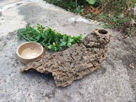 Photo of free some parts from Vivarium, for housing snake etc. (Hollingbury BN1) #1