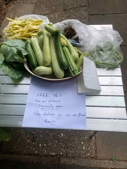 Photo of free Veg (Panshanger AL7) #1