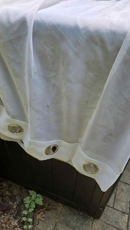 Photo of free Curtains=garden row covers (Forest Glen) #2
