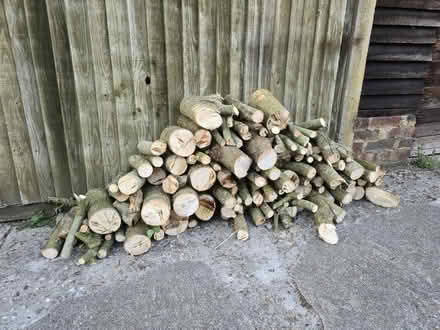 Photo of free Logs (Godstone Surrey RH9) #1