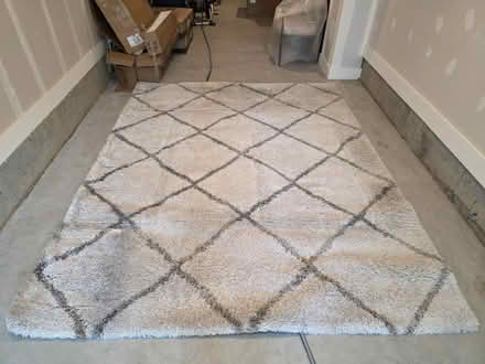 Photo of free Safavieh Hudson Shag area rug 8x10 (West End, Alexandria) #1