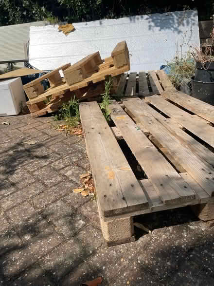 Photo of free Pallets (Cowley OX4) #1