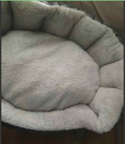 Photo of free Dog bed (Dublin central) #1
