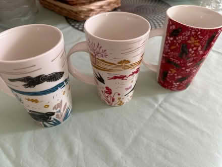 Photo of free 3 mx Tall Cups (Epping, CM16) #1