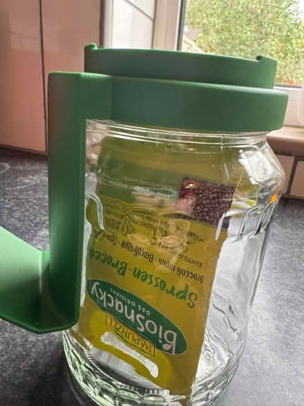 Photo of free Seed sprouter with broccoli sprouts (Hulme M15) #2