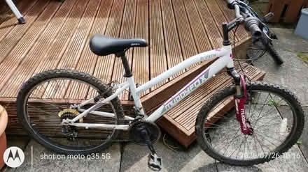 Photo of free Muddyfox alloy frame bike 24" (DH3) #1