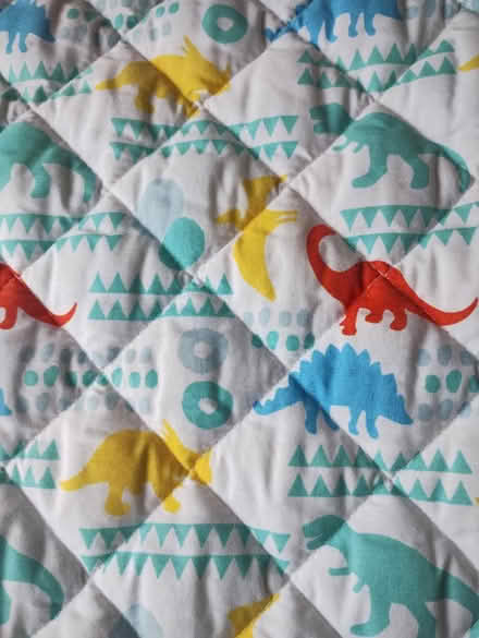 Photo of free Dinosaur cot bumper (Epsom Common KT18) #2