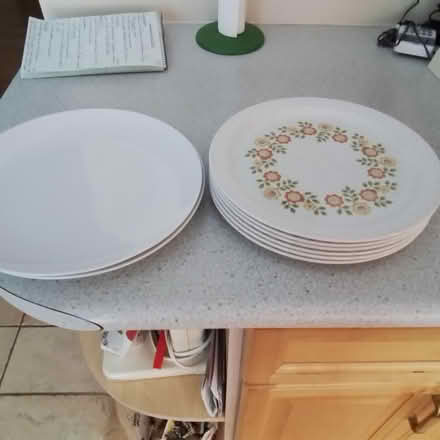 Photo of free 6 Large Plates (Uplands / Riverside) #1