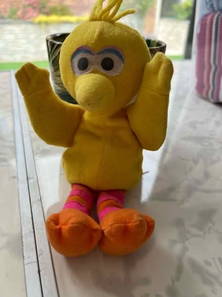 Photo of free Small bird beanie (Westbrook WA5) #1
