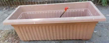 Photo of free Plastic Plant Container (East Croydon CR0) #1