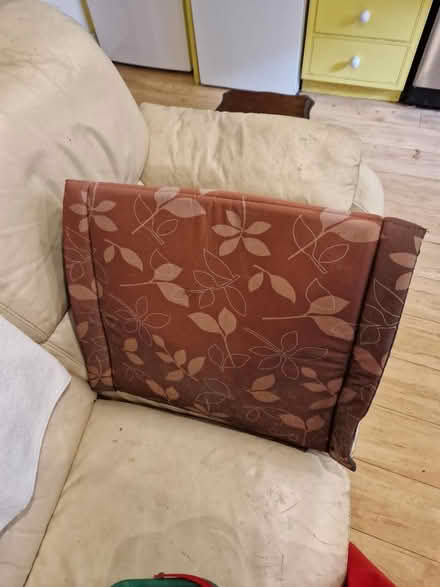 Photo of free Outdoor animal shelter (Oval SW8) #2
