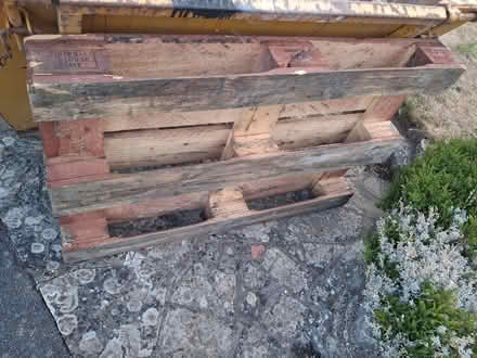 Photo of free Pallet for Recycling (Warsash SO31) #1