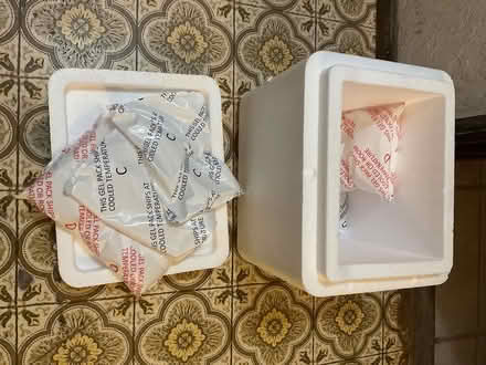 Photo of free Styrofoam cooler (North Bothell) #1