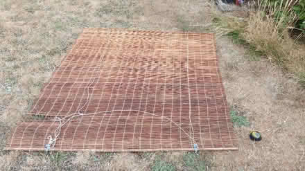 Photo of free Bamboo blind (Exmouth EX8) #1