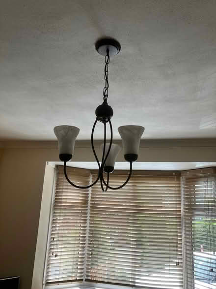 Photo of free Ceiling light (Ludlow SY8) #1