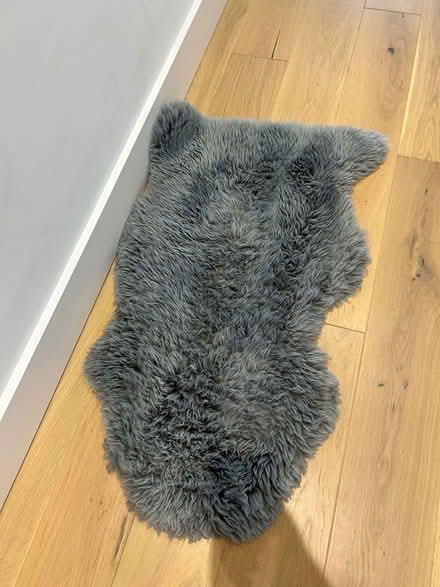 Photo of free Sheepskin rug (Hoddesdon EN11) #1