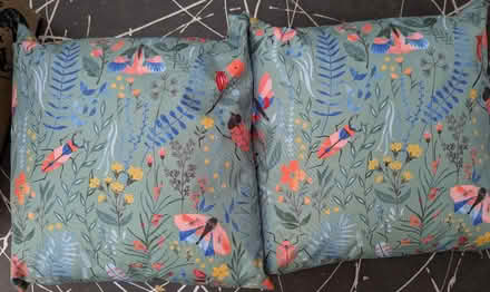 Photo of free Garden Cushions (near Hollow Way, Cowley OX4) #1