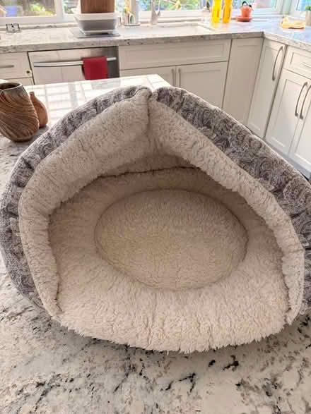 Photo of free Cat Bed (Las Palmas Park, Sunnyvalr) #2