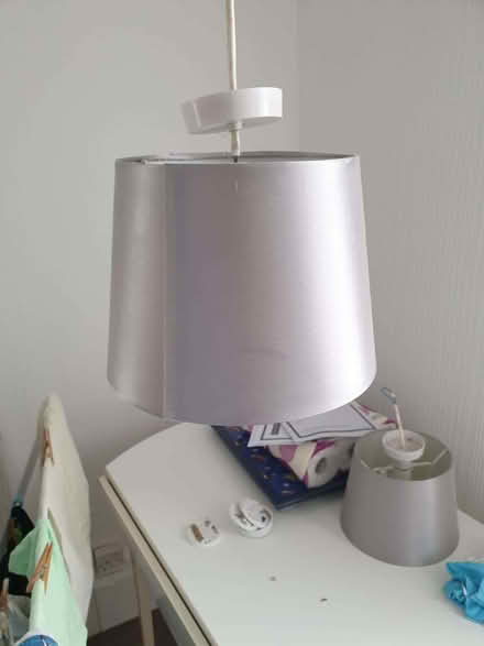 Photo of free 2 Grey Ceiling Light Shades with Rosettes & wires (Evercreech BA4) #2