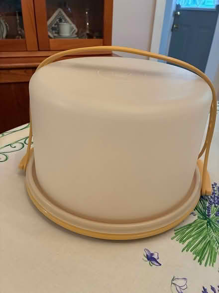 Photo of free Plastic cake carrier (Haddon Heights, NJ) #1