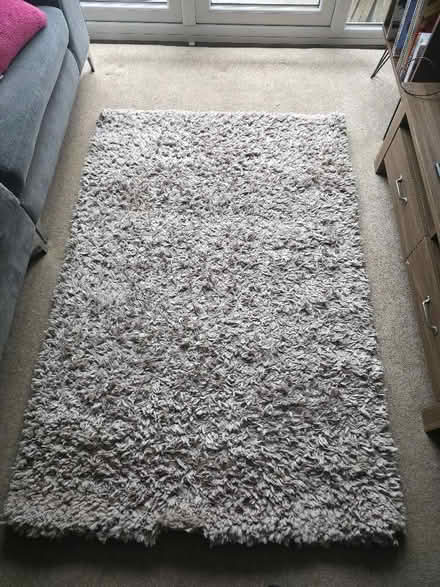 Photo of free Medium beige shaggy rug (Swindon Village GL51) #1