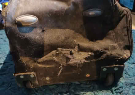 Photo of free Large black sports/travel holdall (Teddington TW11) #4
