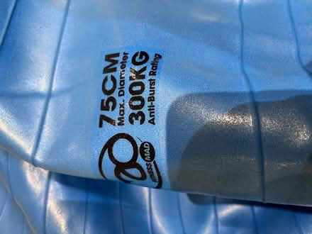 Photo of free balance ball large (Gorgie EH11) #2