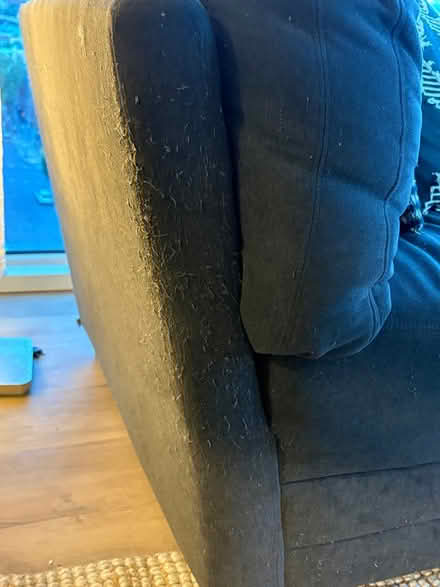 Photo of free Sofa (Inner SE Portland) #3