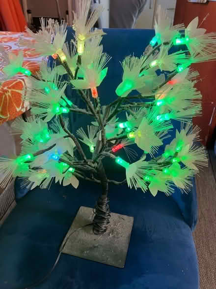 Photo of free Lights tree (Bramley LS13) #4