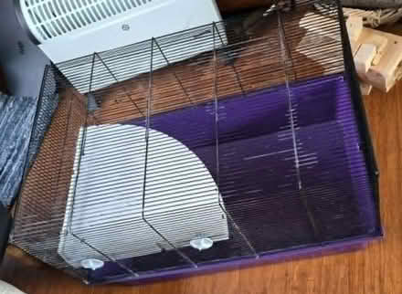 Photo of free Small Animal cage 45x68x41cm high (Warkton NN16) #1