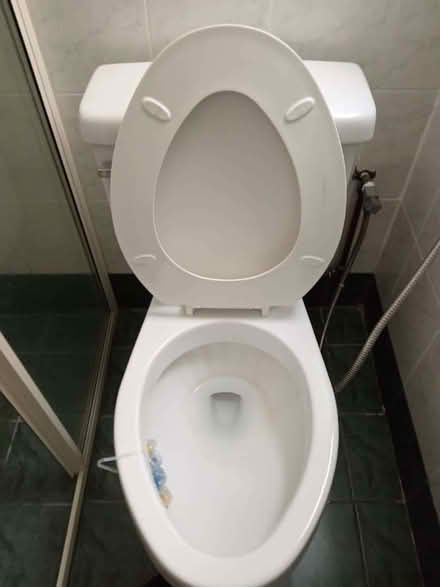 Photo of Toilet (Whydown TN39) #1