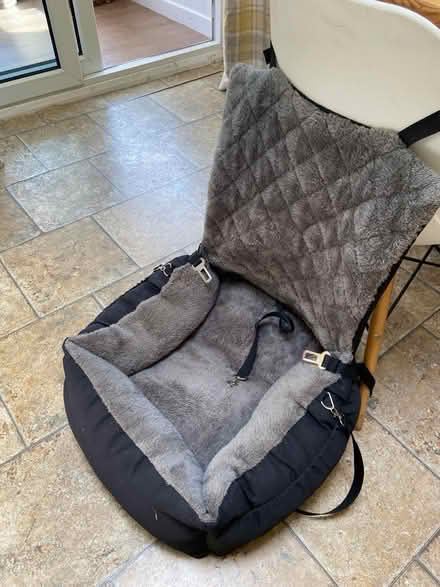 Photo of free Doggie car seat (ME15 Plains avenue) #1