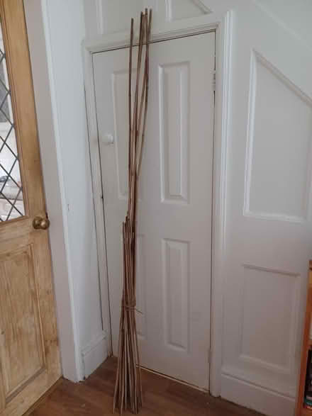 Photo of free Bamboo canes (Belper Town centre) #1