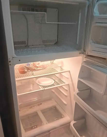 Photo of free White GE fridge (Carrollwood) #2