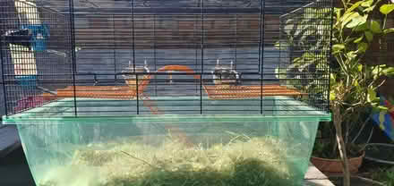 Photo of free Gerbil Cage (Lockleaze BS7) #3