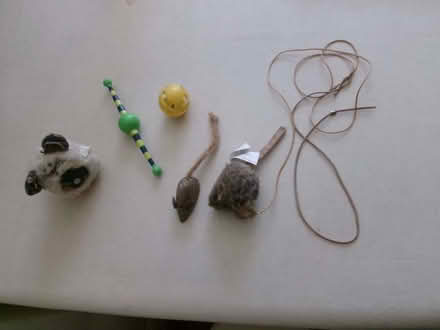 Photo of free Cat toys (Jericho OX2) #1